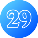 29 icon