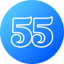 55 icon