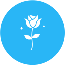 rosa icon