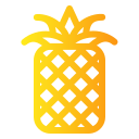 piña icon