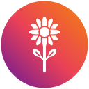 flor de sol icon