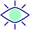 ojo icon