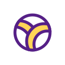 volley-ball icon