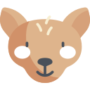 xoloitzcuintle icon