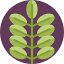 hoja icon