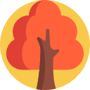 Árbol icon