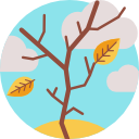 Árbol icon