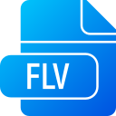 flv icon