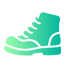 bota icon