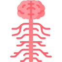 Nervous system icon