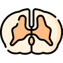 척수 icon
