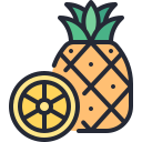 piña icon