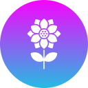 girasol icon