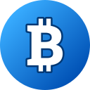 bitcoin icon