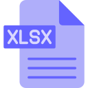 xlsx