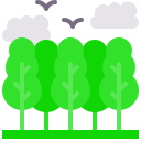 bosque icon