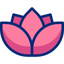 백합 
