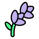 lavanda icon