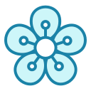 saponaria icon