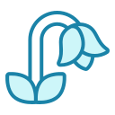 campanilla de febrero icon