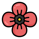 amapola icon