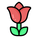 rosa icon