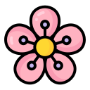 saponaria icon