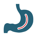 gastroenterología icon