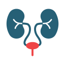 urología icon