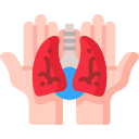 pulmones icon