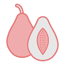 papaya icon