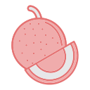 cantalupo icon