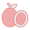 guayaba icon