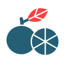 pomelo icon