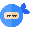 ninja icon