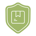 seguridad icon