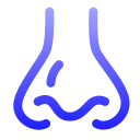 nasal icon