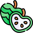 chirimoya icon