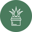 aloe vera icon