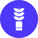 planta icon