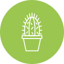 cactus icon