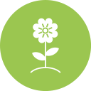 fleur 