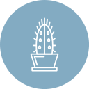 cactus icon