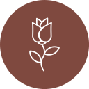 rosa icon