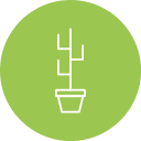 cactus icon