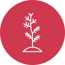 plantar arbol icon