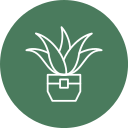 aloe vera icon