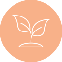 albahaca icon