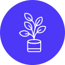 ficus icon