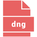 dng icon